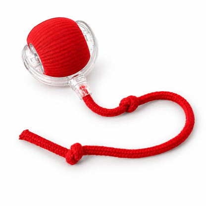 Automatic Smart Rolling Cat Toy Ball